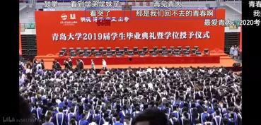 青岛大学视频,探索海滨学府的学术魅力与活力