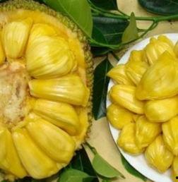 菠萝蜜如何剥开视频,轻松掌握开果技巧