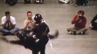 武术打架视频真实,武术对决，一招制胜的瞬间对决