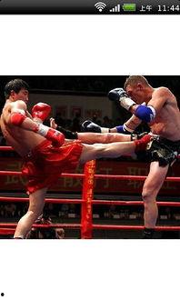 武术打架视频真实,武术对决,一招制胜的瞬间对决