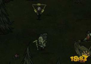 饥荒视频老麦,老麦在饥荒视频中的生存智慧与挑战