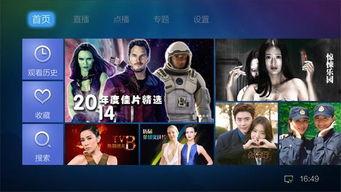 蜂勇视频,揭秘蜜蜂世界的神奇与智慧