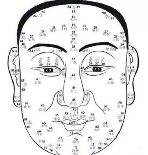 相面算命视频,视频揭秘面相背后的神秘力量