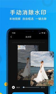 如何给视频去水印,高效去水印技巧大揭秘
